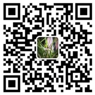 某某崗?fù)び邢薰?二維碼